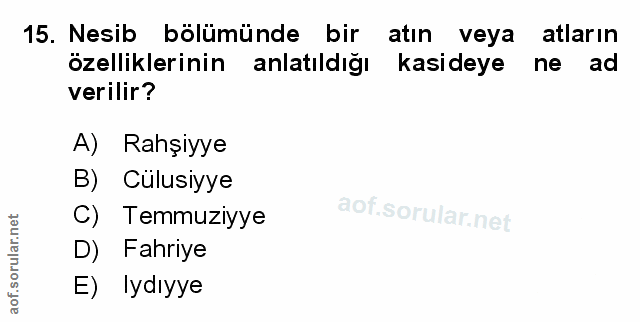 Soru 15