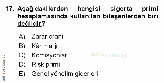 Soru 17