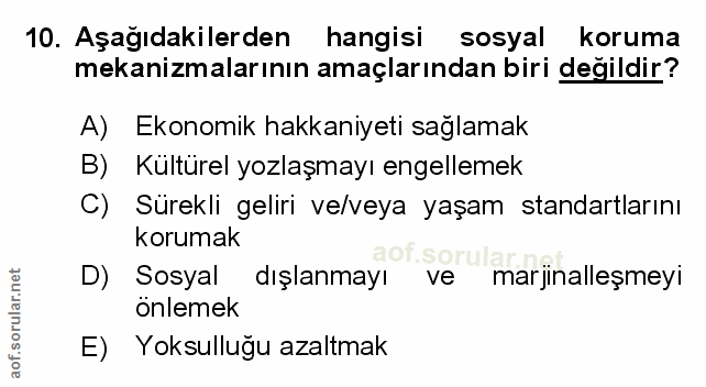 Soru 10