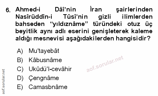 Soru 6