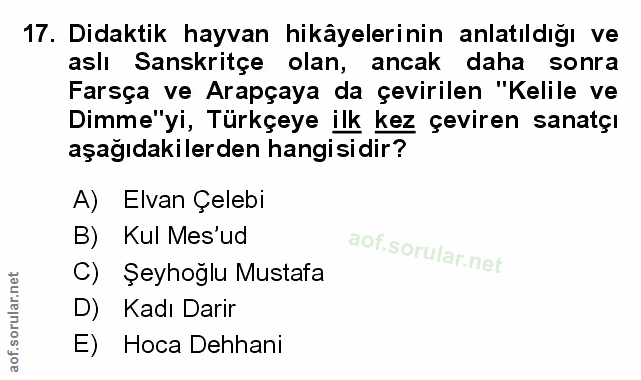 Soru 17