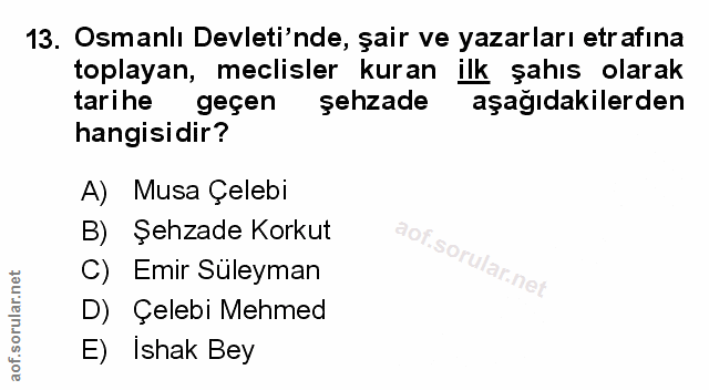 Soru 13