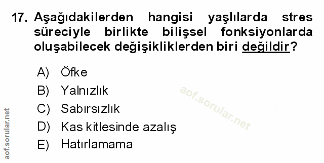Soru 17