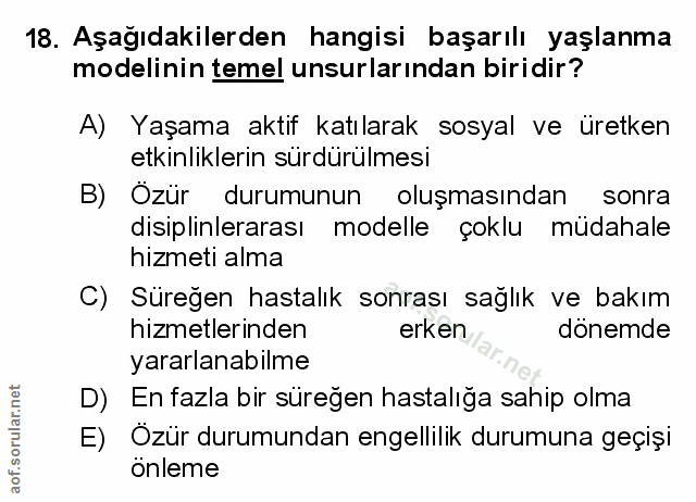 Soru 18