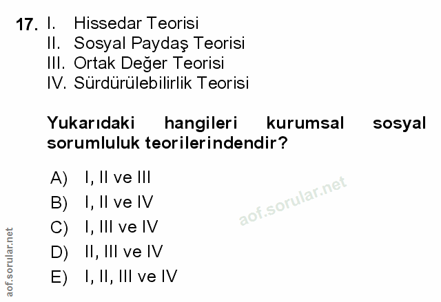 Soru 17