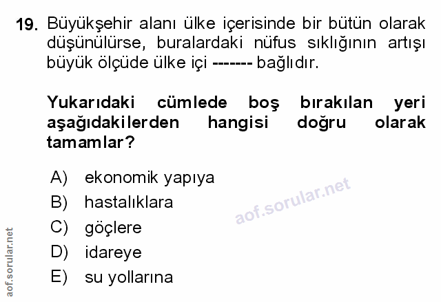 Soru 19