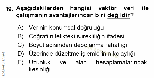 Soru 19