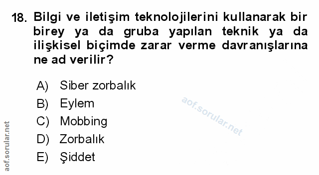 Soru 18