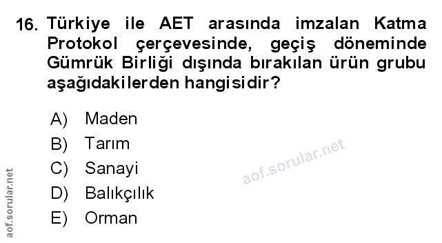 Soru 16