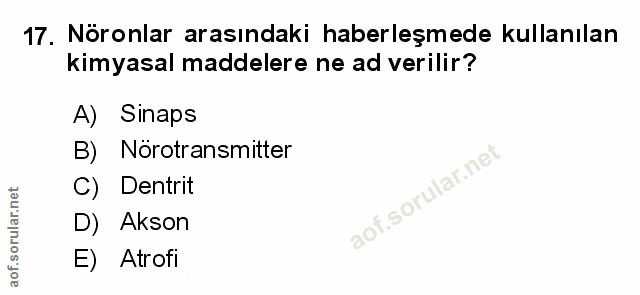 Soru 17