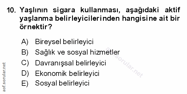Soru 10