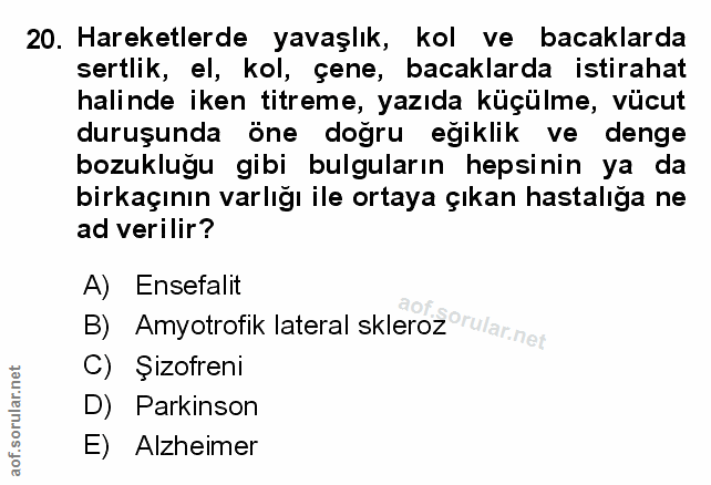 Soru 20