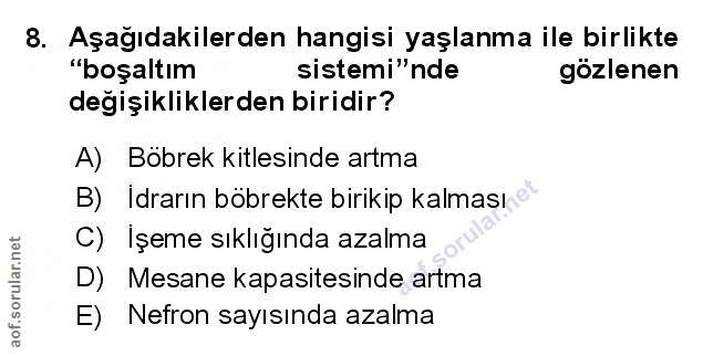 Soru 8