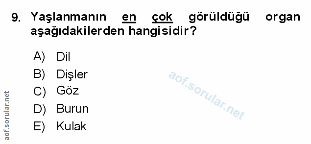 Soru 9