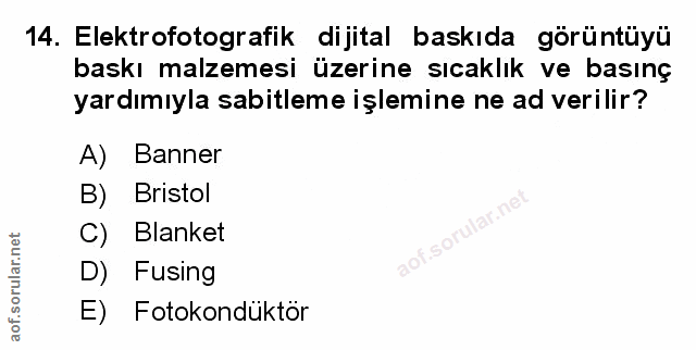 Soru 14