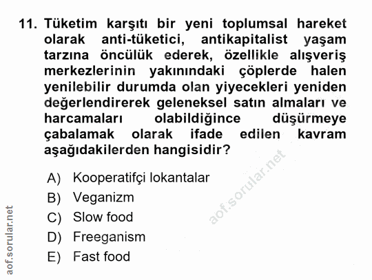 Soru 11