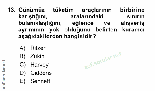 Soru 13
