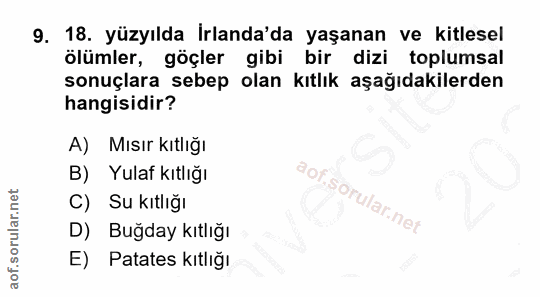 Soru 9