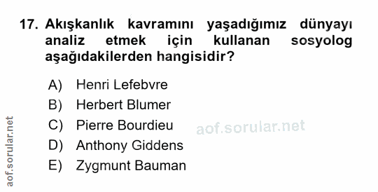 Soru 17