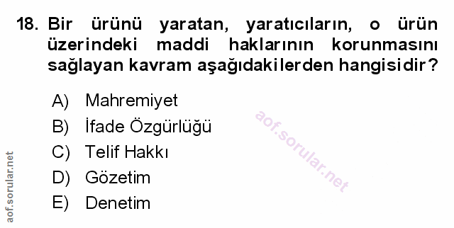 Soru 18