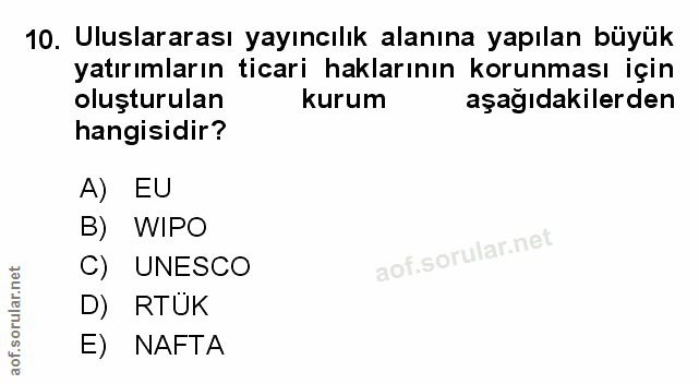 Soru 10