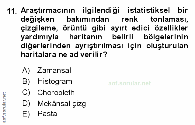 Soru 11