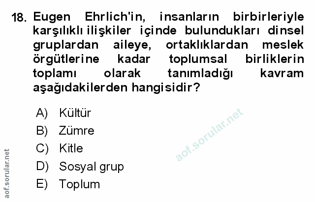 Soru 18