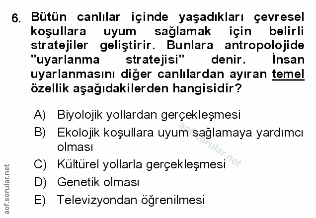 Soru 6