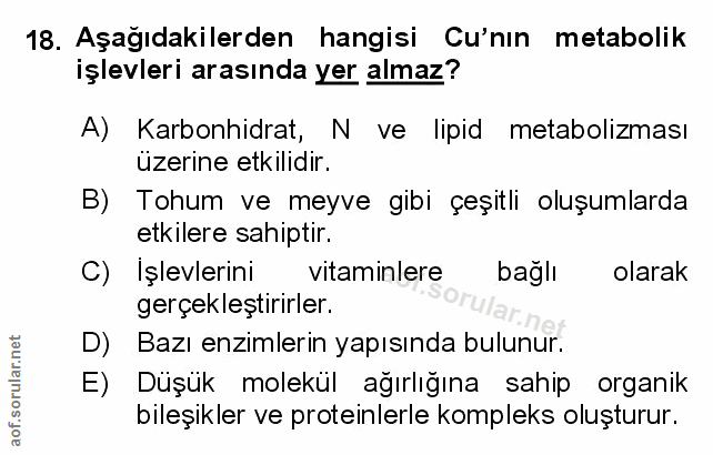 Soru 18