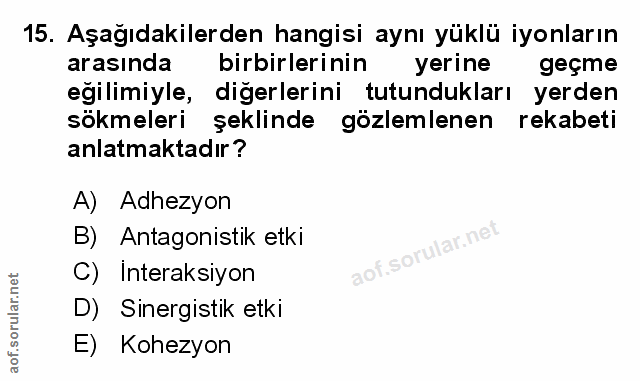 Soru 15