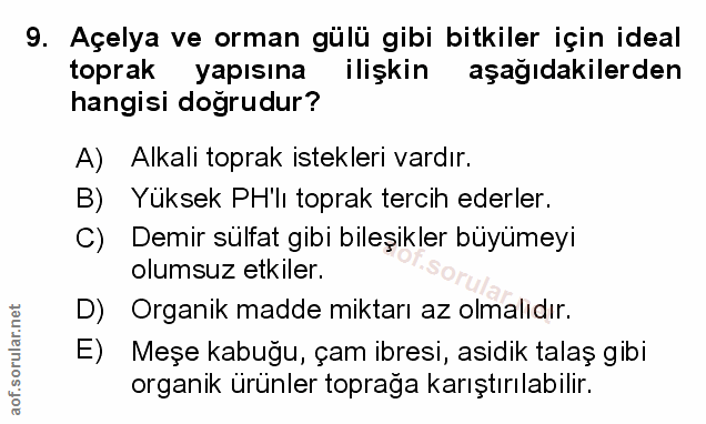 Soru 9