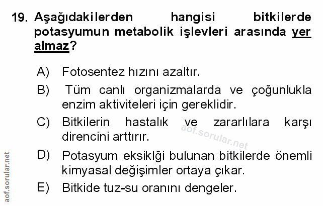 Soru 19