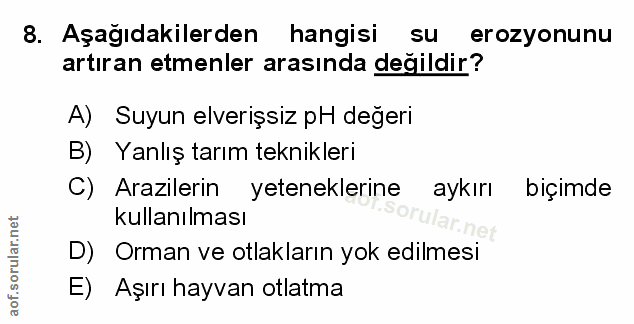 Soru 8