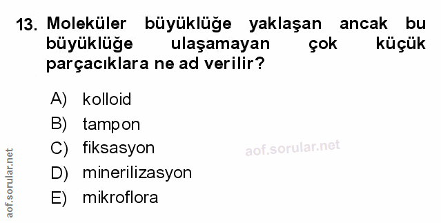 Soru 13