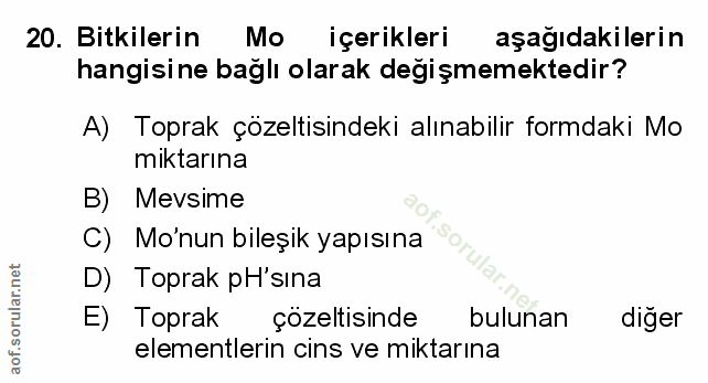 Soru 20