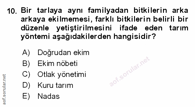 Soru 10