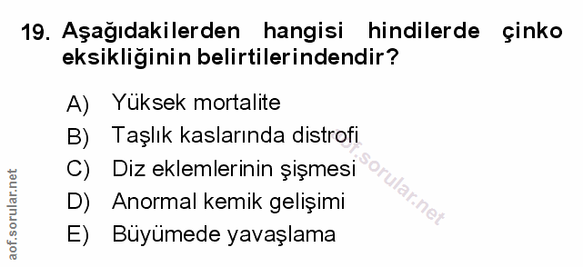 Soru 19