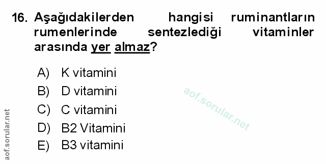 Soru 16