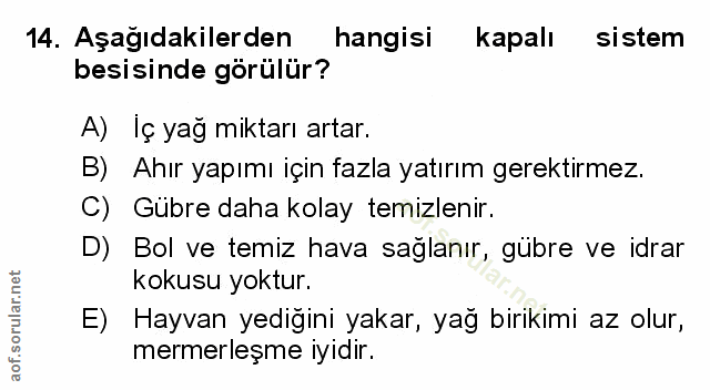 Soru 14