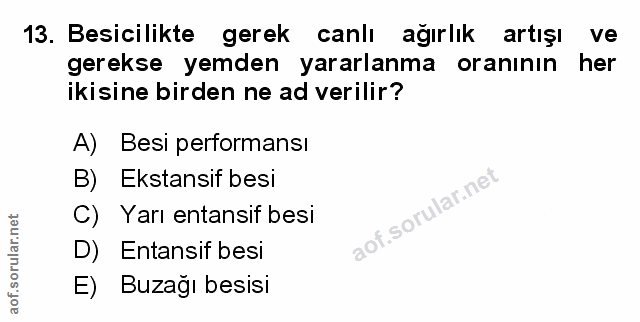 Soru 13