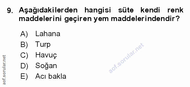 Soru 9