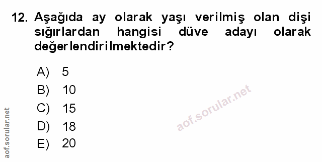 Soru 12