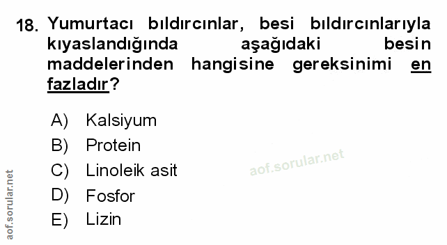 Soru 18