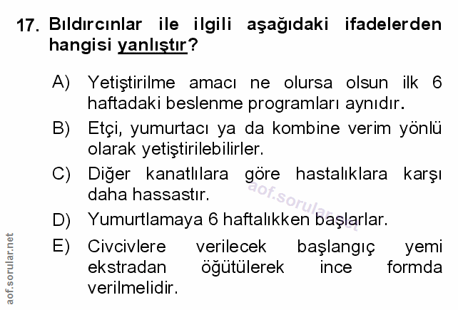Soru 17