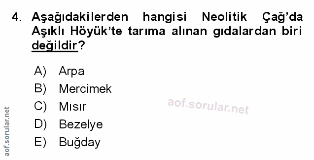 Soru 4