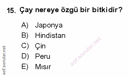 Soru 15