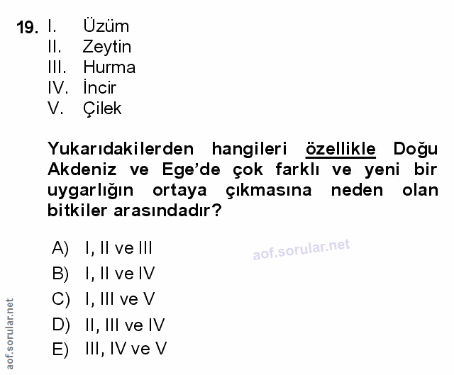 Soru 19