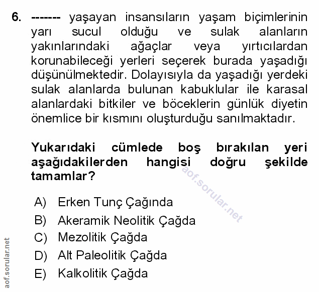Soru 6
