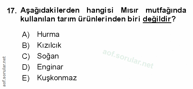 Soru 17