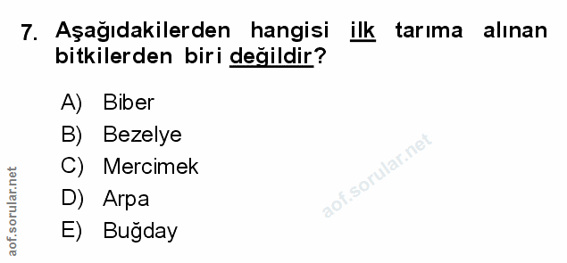 Soru 7